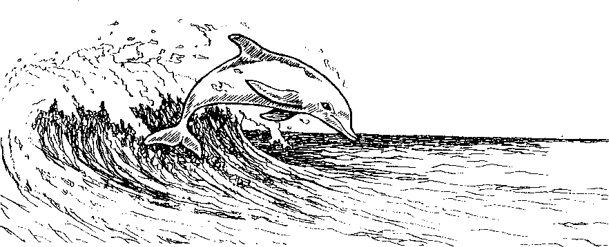 Dolphins Engraving Design