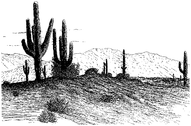 Desert Engraving Design