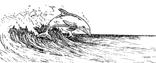 Dolphins Engraving Design