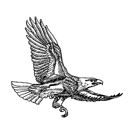 Eagle Engraving Design