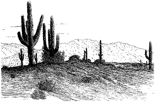 Desert Engraving Design