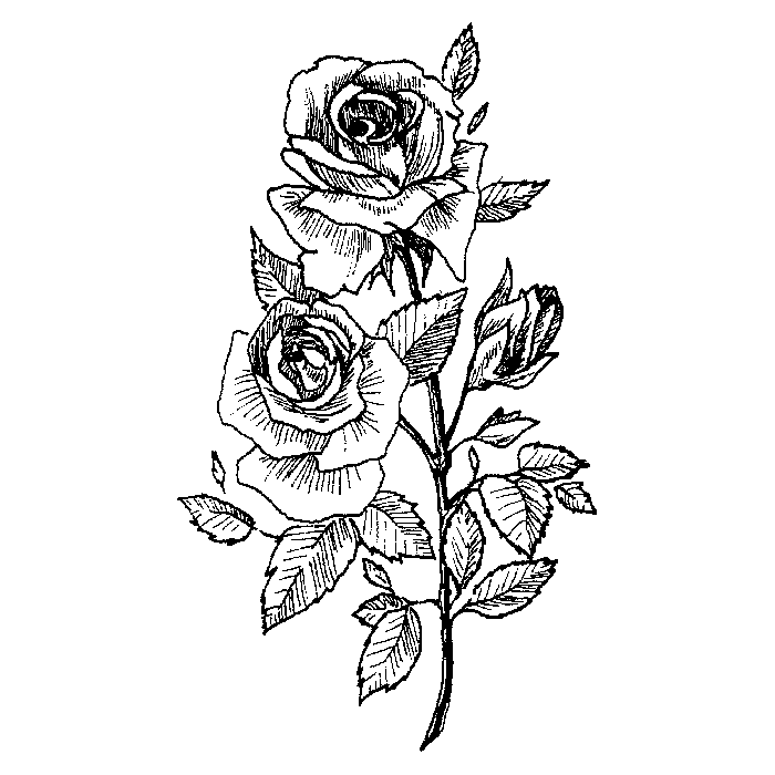 Rose Engraving Design