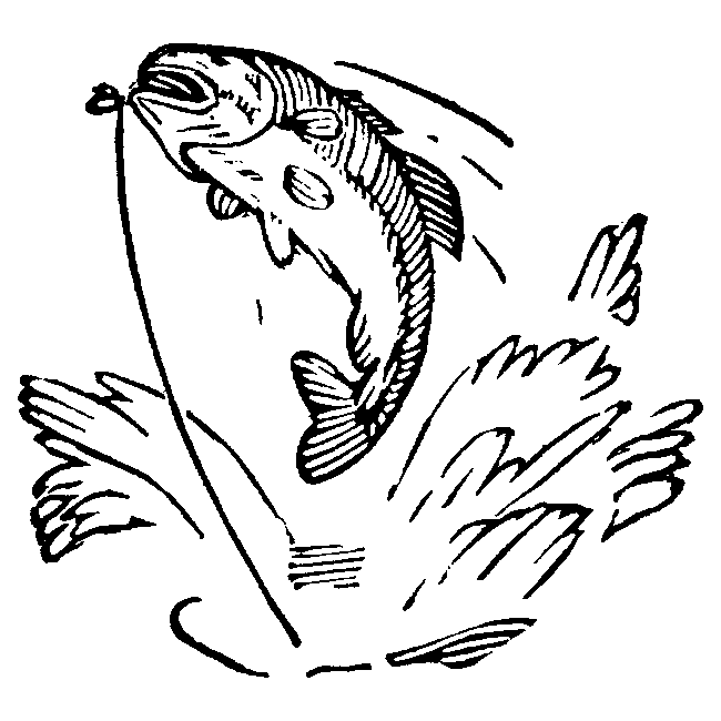 Fish Engraving Design