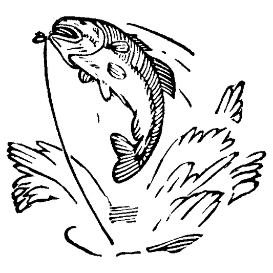Fish Engraving Design