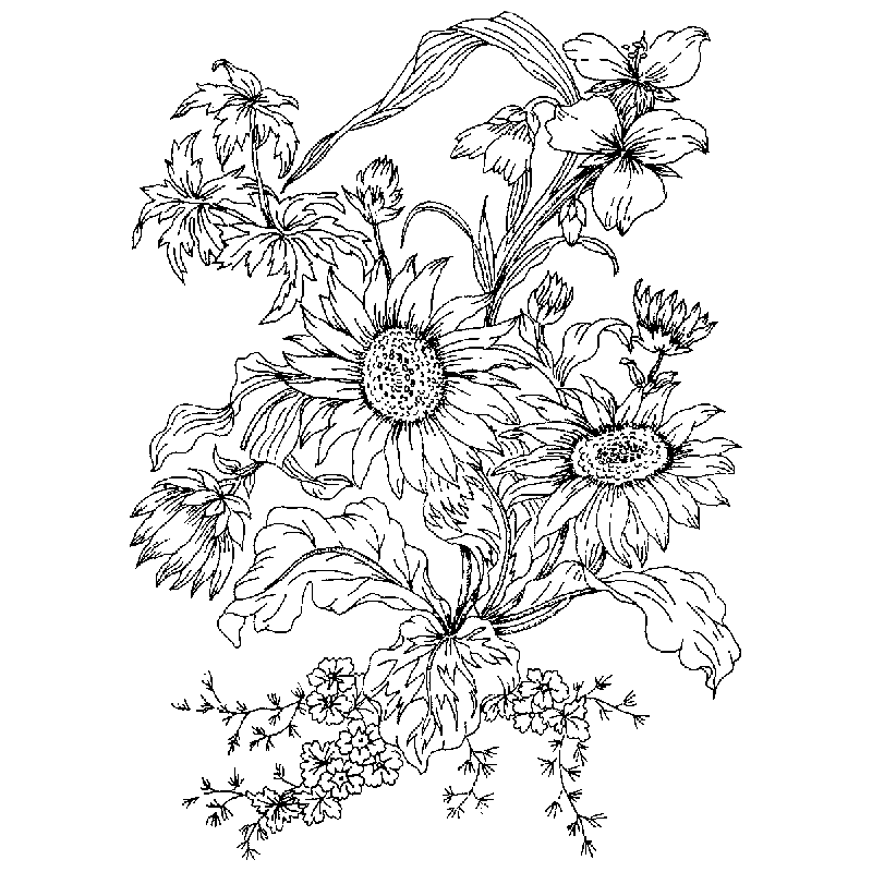 Daisy Engraving