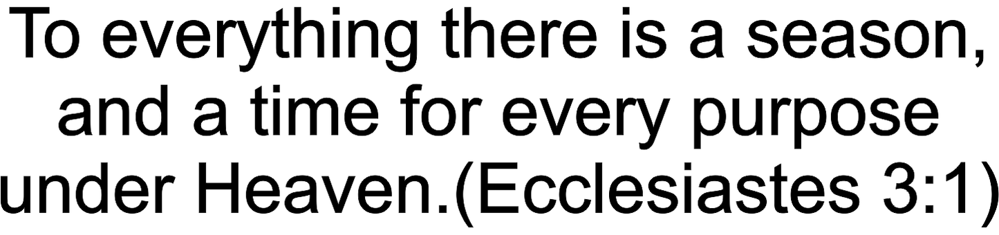Ecclesiastes 31 Engraving