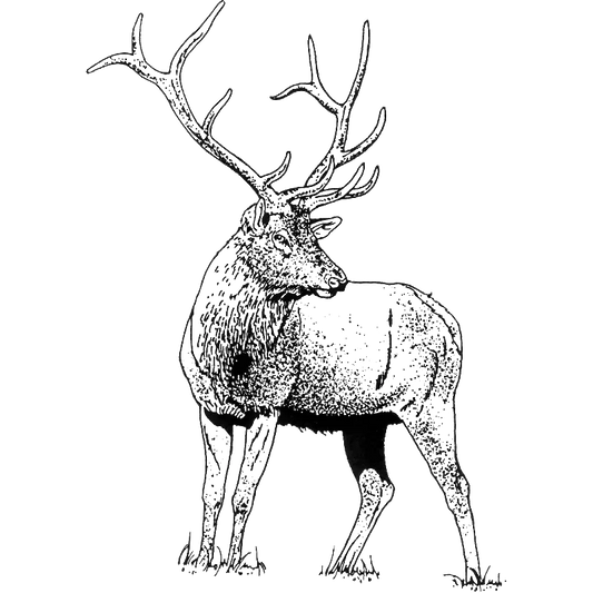 Elk Engraving Design