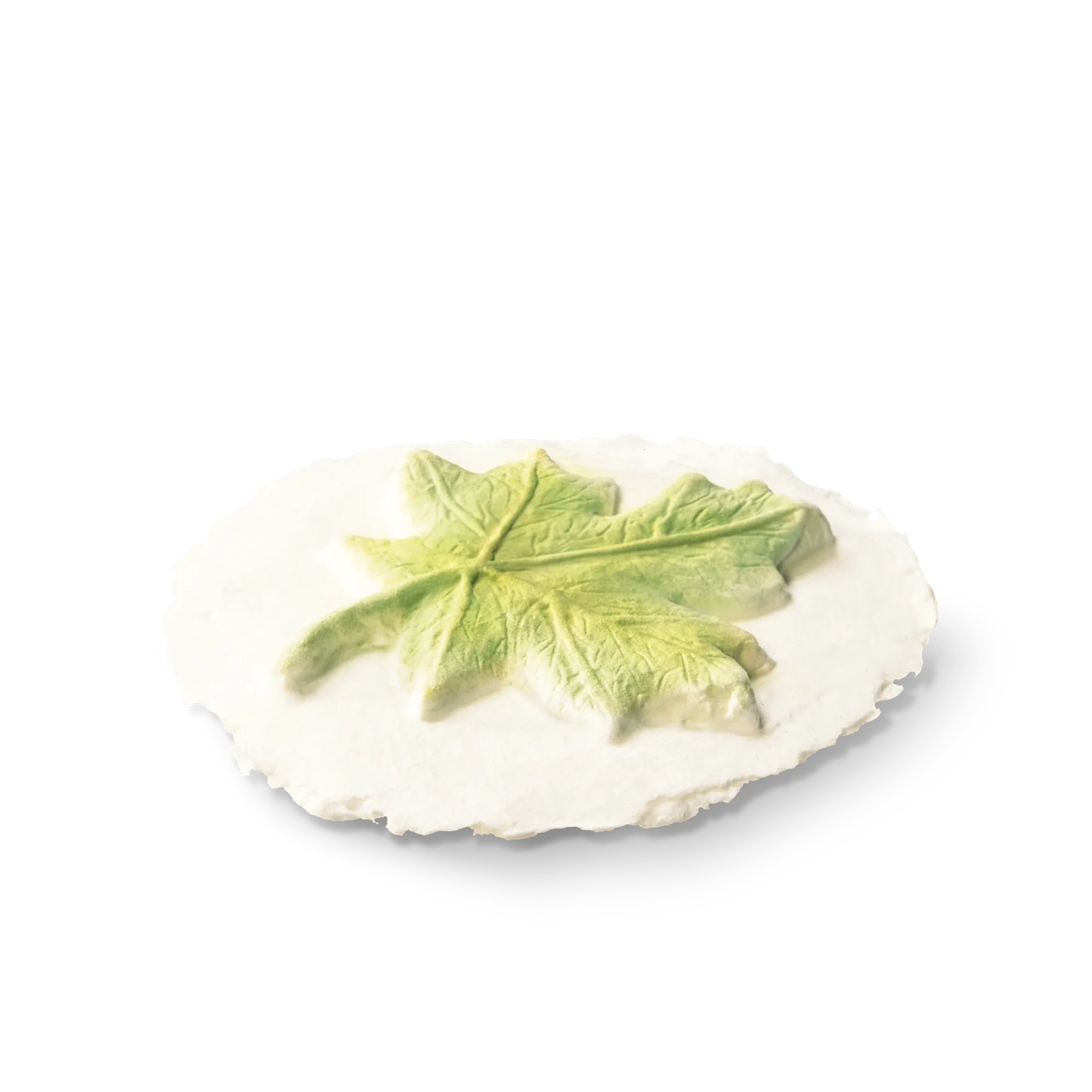 Leaf Token Biodegradable Pack of 6 Tokens