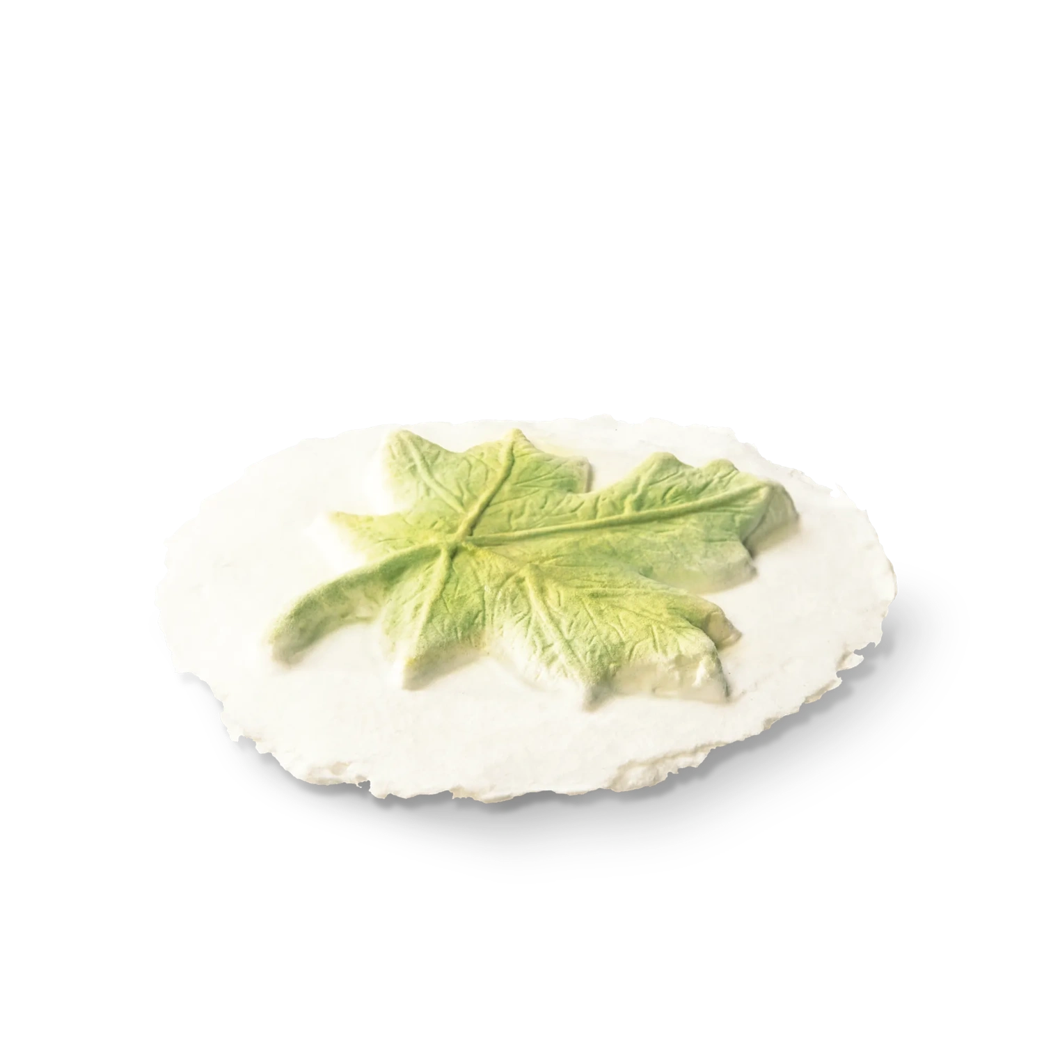 Leaf Token Biodegradable Pack of 6 Tokens