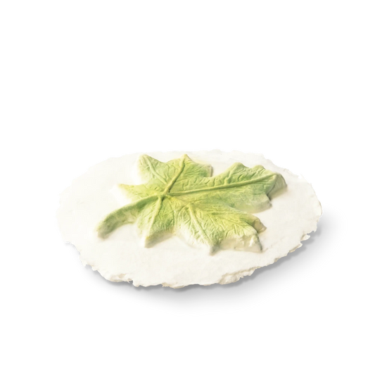 Leaf Token Biodegradable Pack of 6 Tokens