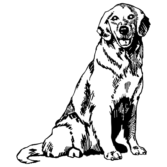 Dog Engraving Design