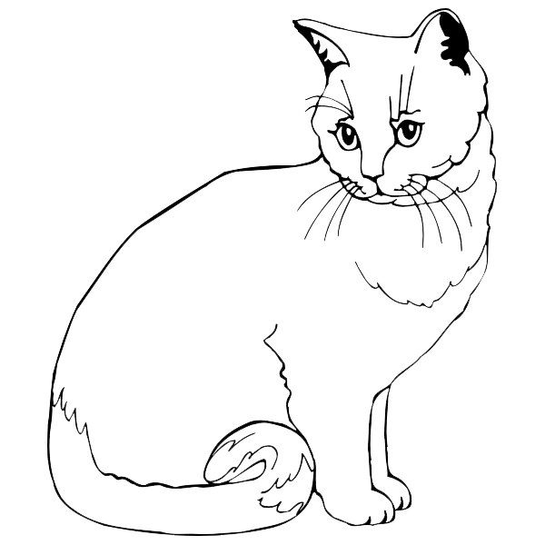 Cat Engraving