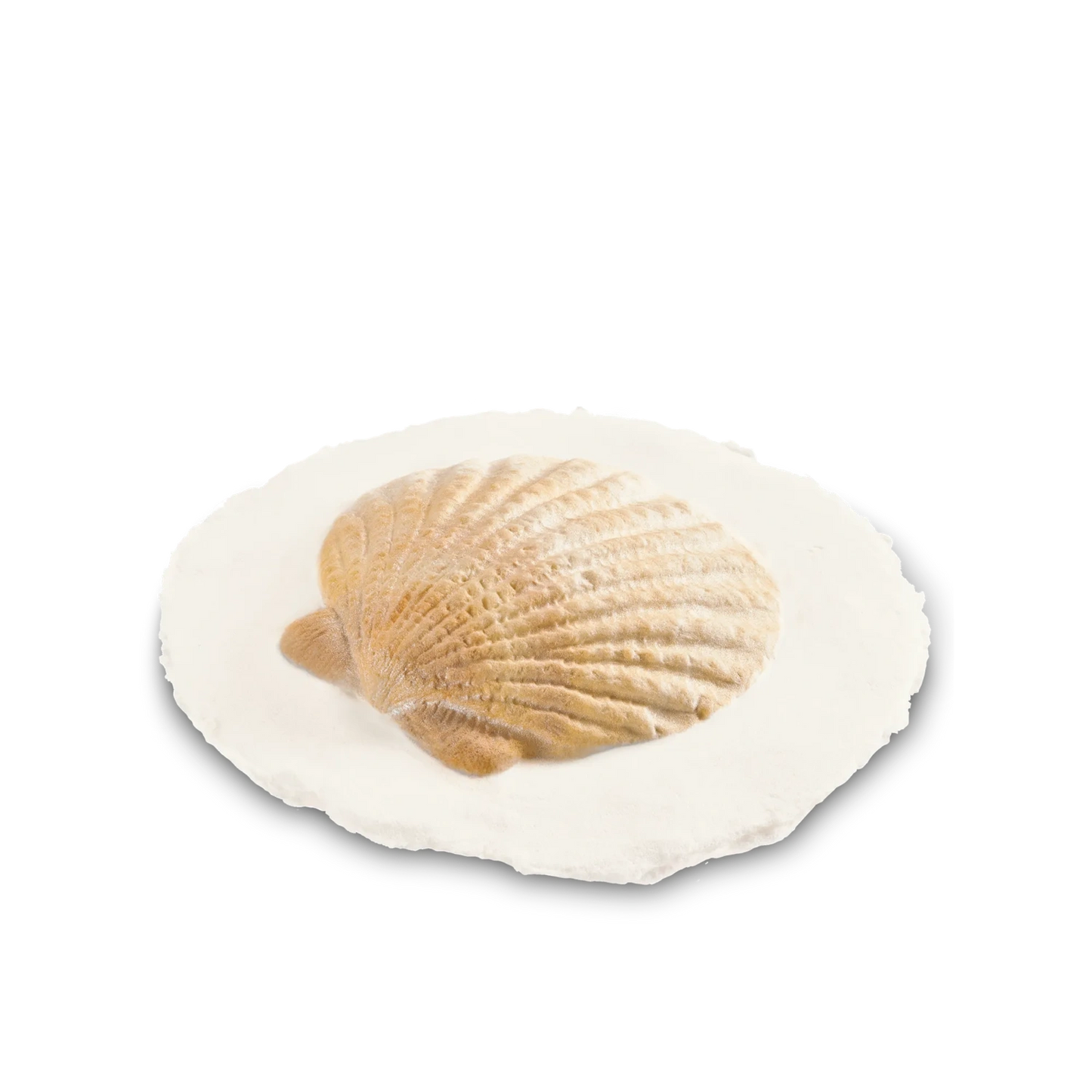 Shell Token Biodegradable Pack of 6 Tokens