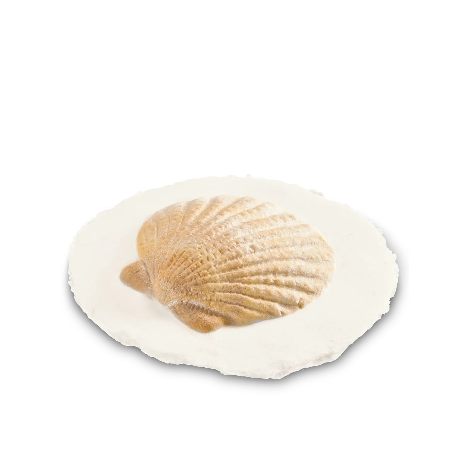 Shell Token Biodegradable Pack of 6 Tokens