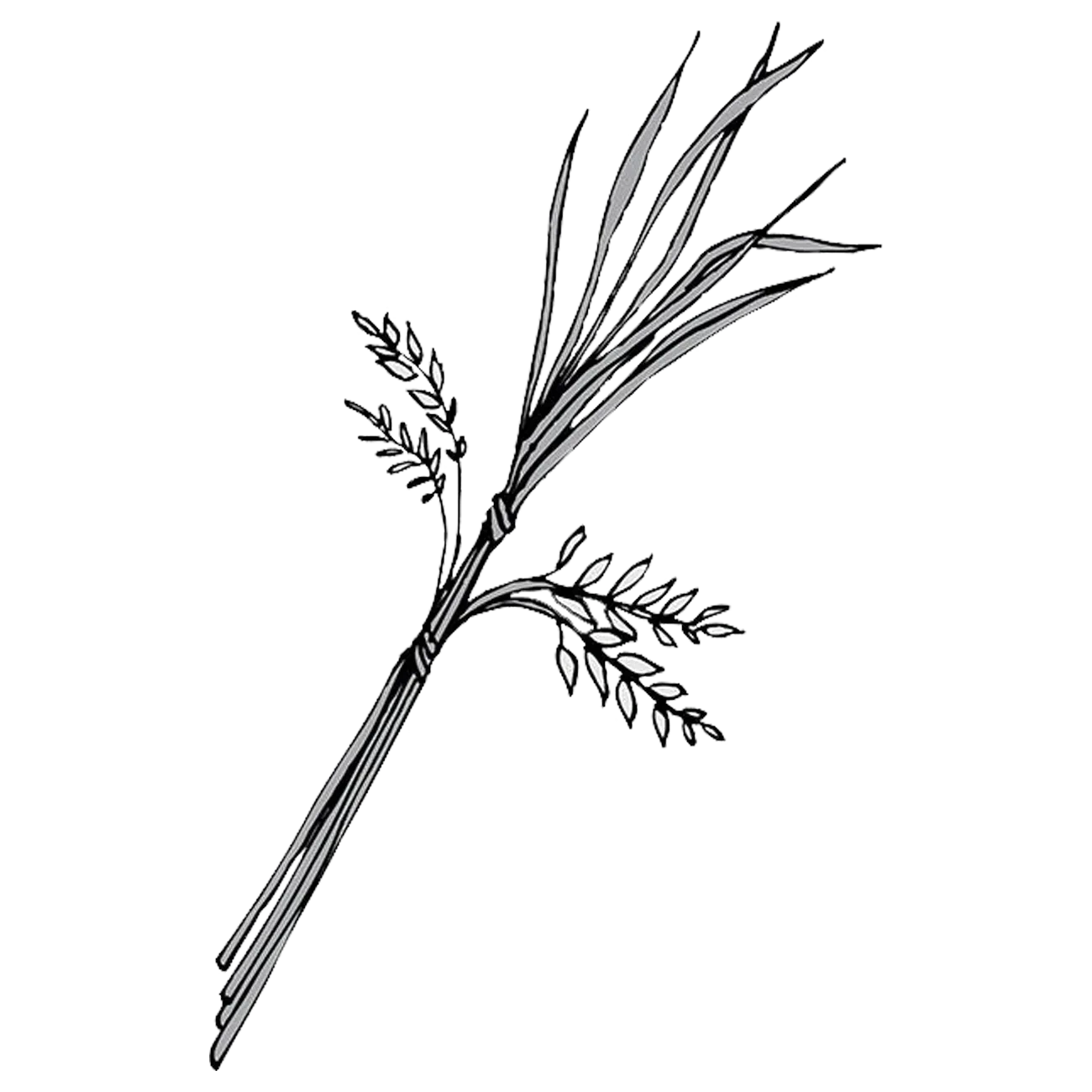 Wheat With Leaves Engraving