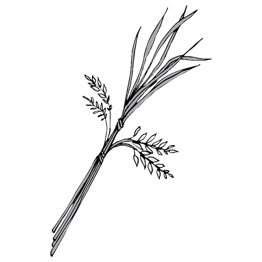 Wheat With Leaves Engraving