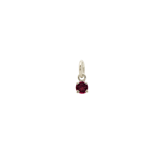 Sterling Silver January Gem