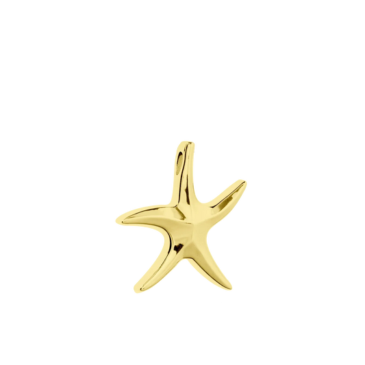 18K Gold Vermeil Starfish