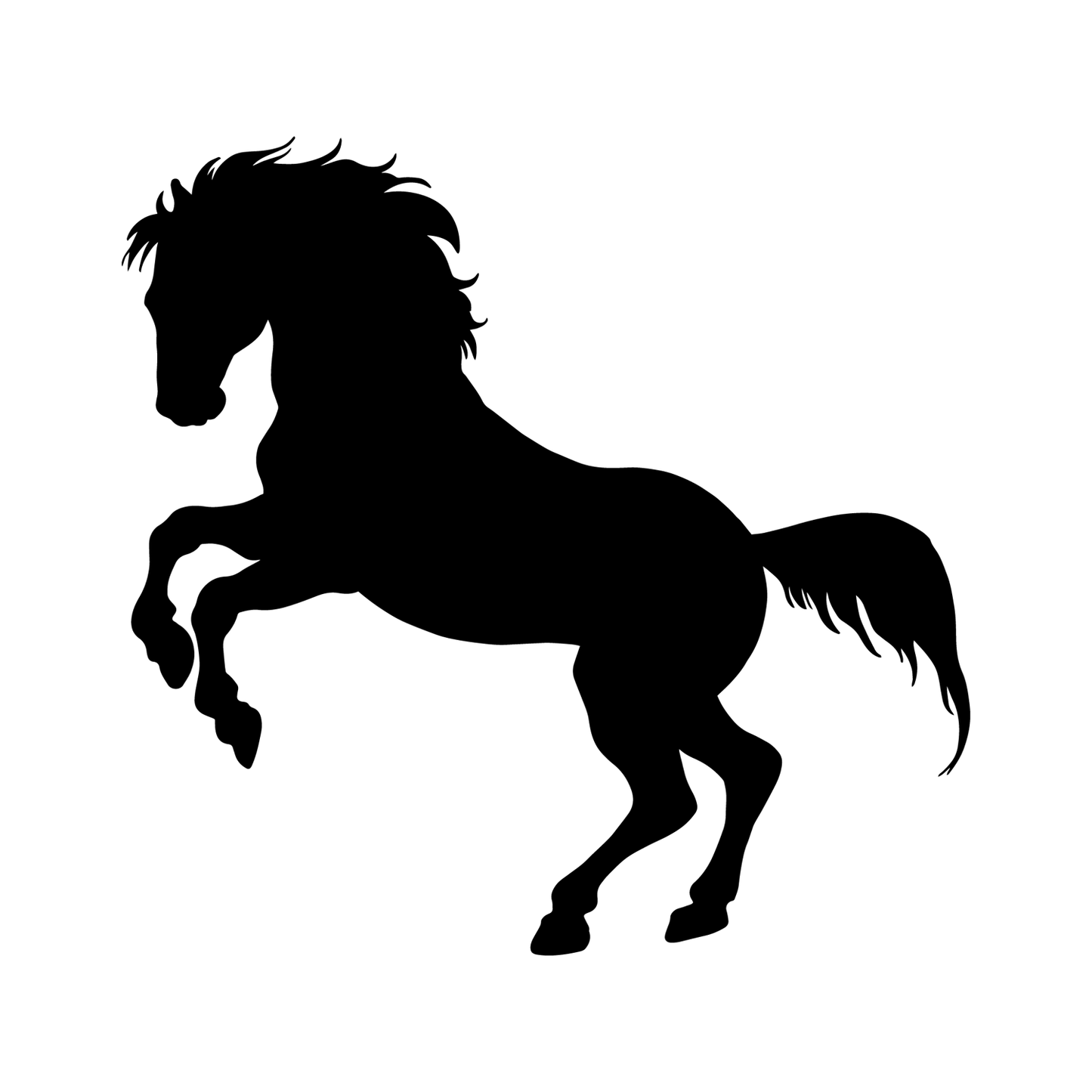 Rearing Horse Engraving
