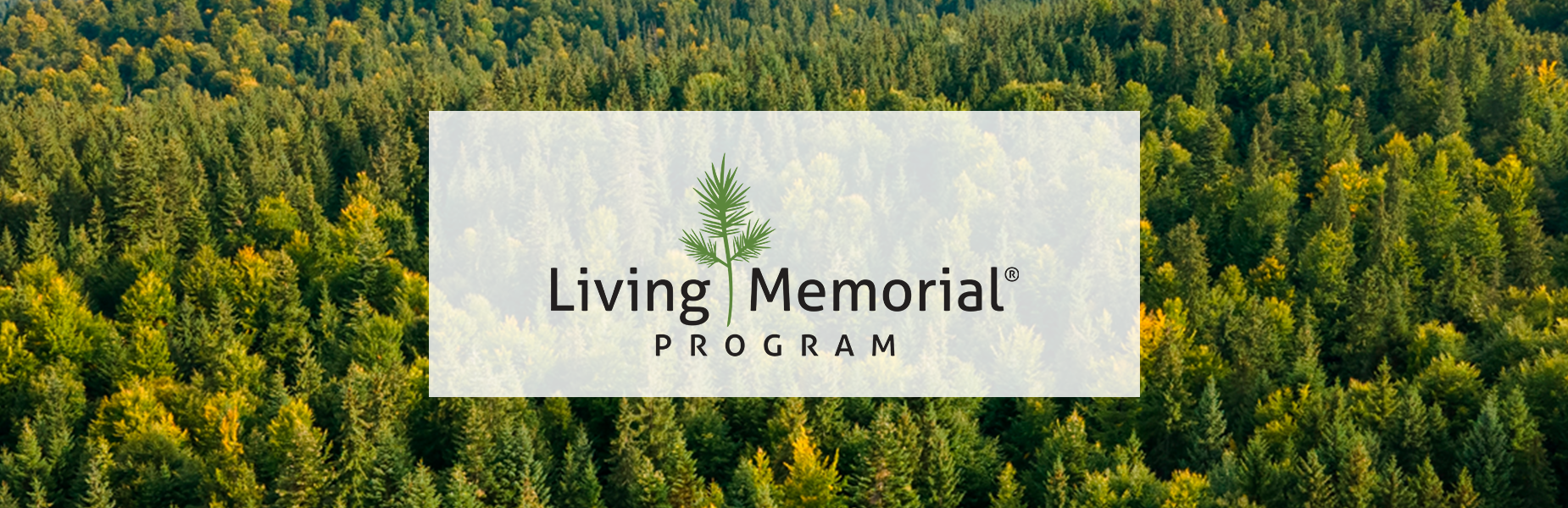 Living memorial program banner